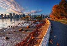COVID-19 sees BCLC announce payout centre closures